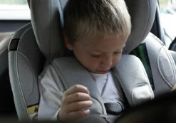 BeSafe Fixe Harnais Pour Siège-auto 7 BeSafe Fixe Harnais Pour Siège-auto -Bébés Produits Magasin fixe harnais pour siege auto besafe bambinou3