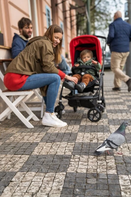 Bugaboo Poussette Bee 6 à Configurer – Image 11